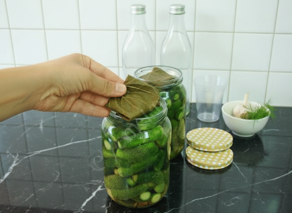 limon-tuzu-kullanmadan-c-t-r-c-t-r-kornison-tursu-04-1024x747 Limon Tuzu Kullanmadan Çıtır Çıtır Kornişon Turşu